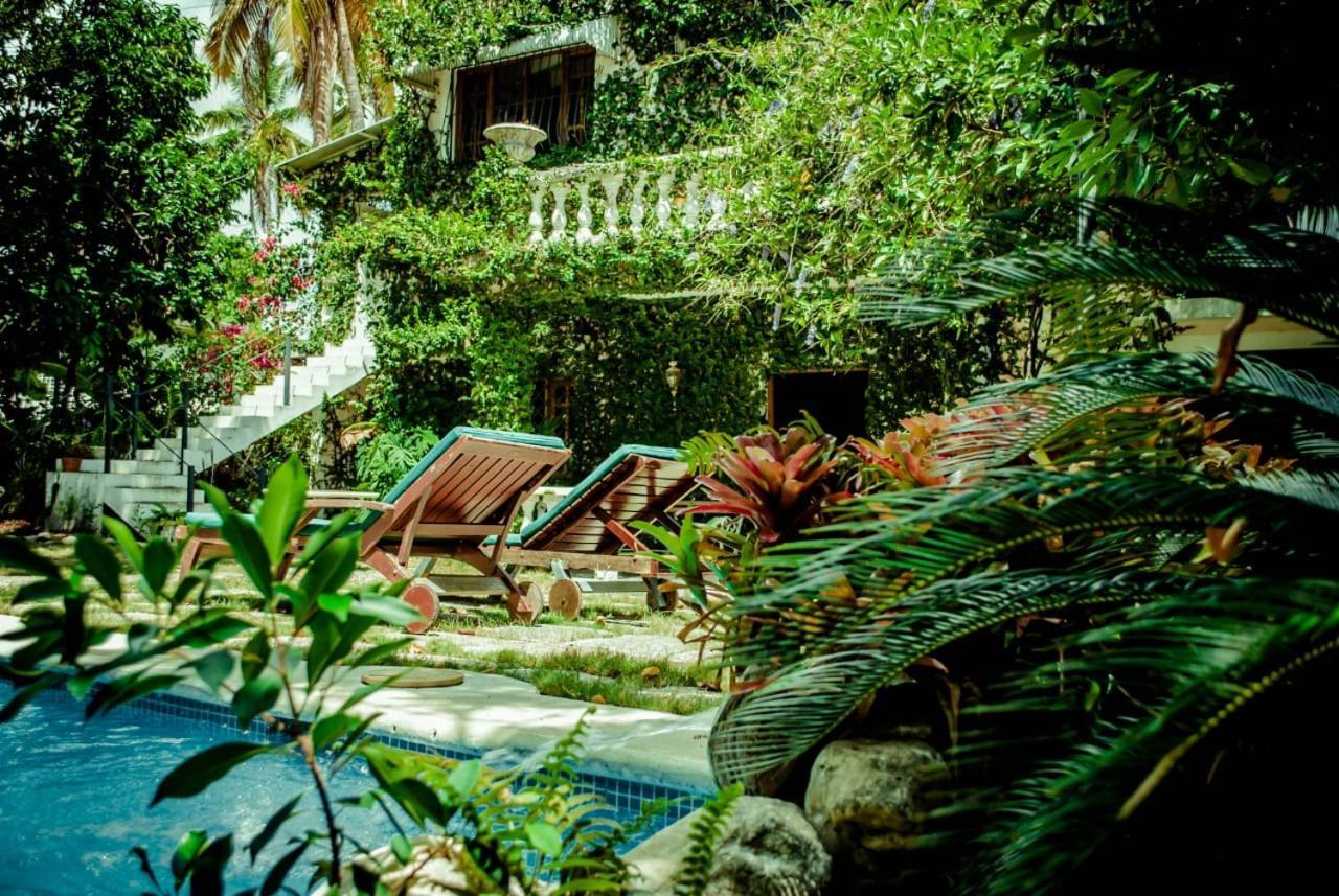 Villa Carolina Bed And Breakfast Puerto Plata ภายนอก รูปภาพ