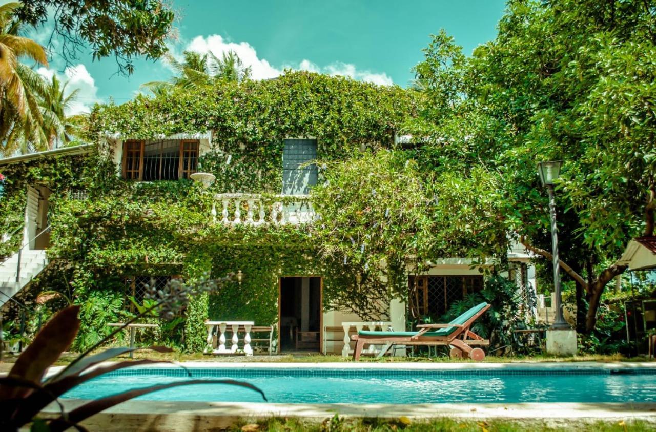 Villa Carolina Bed And Breakfast Puerto Plata ภายนอก รูปภาพ