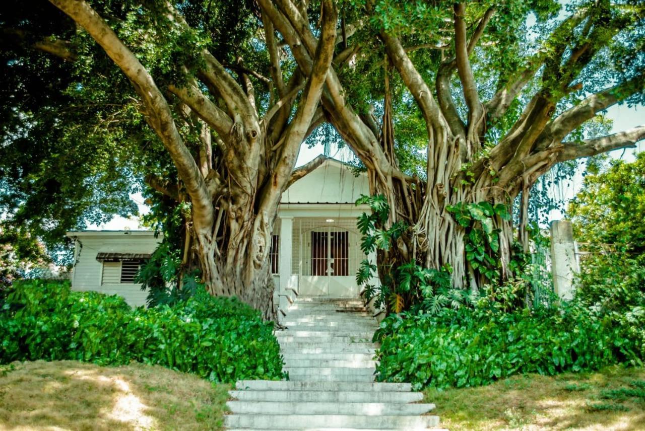 Villa Carolina Bed And Breakfast Puerto Plata ภายนอก รูปภาพ