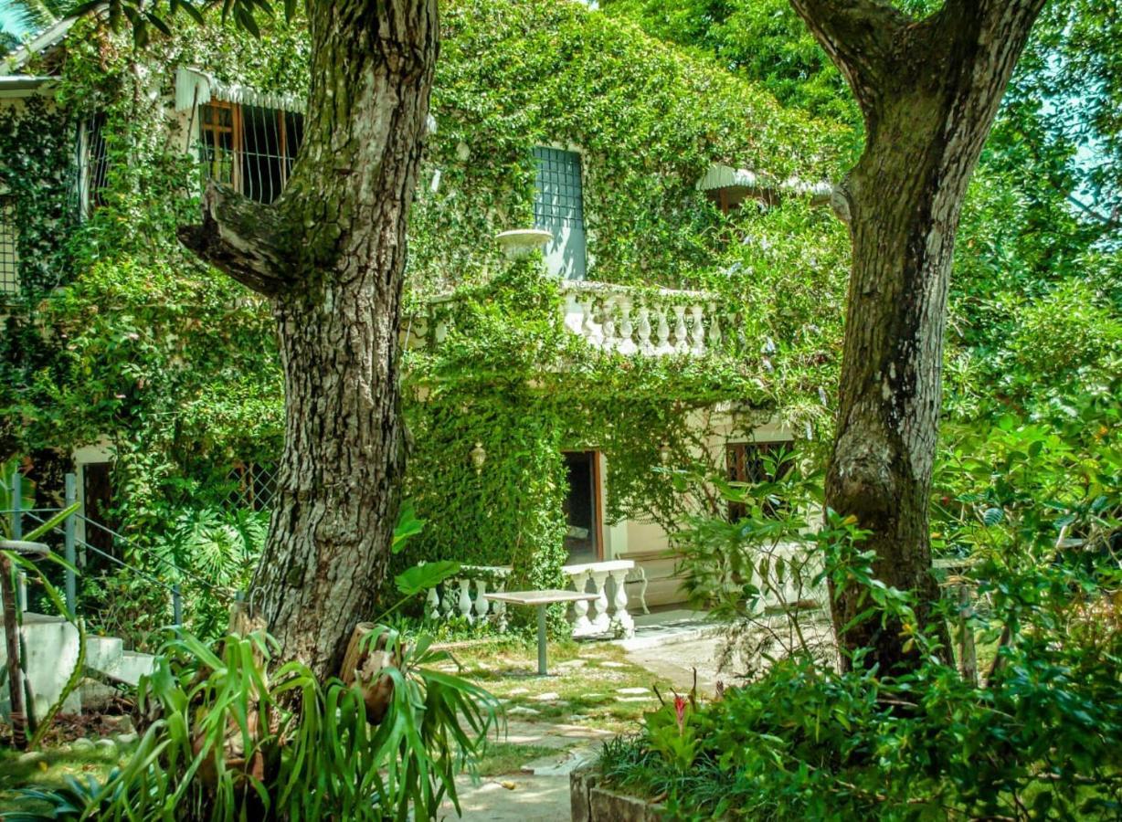 Villa Carolina Bed And Breakfast Puerto Plata ภายนอก รูปภาพ