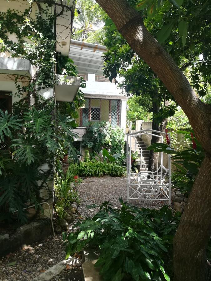 Villa Carolina Bed And Breakfast Puerto Plata ภายนอก รูปภาพ