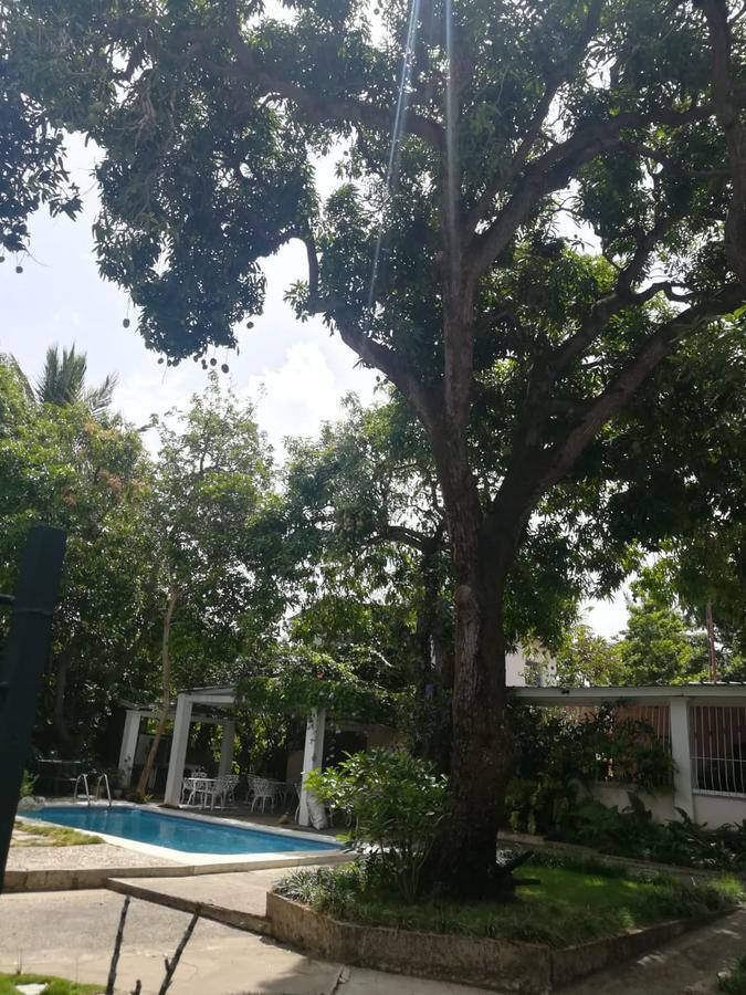 Villa Carolina Bed And Breakfast Puerto Plata ภายนอก รูปภาพ