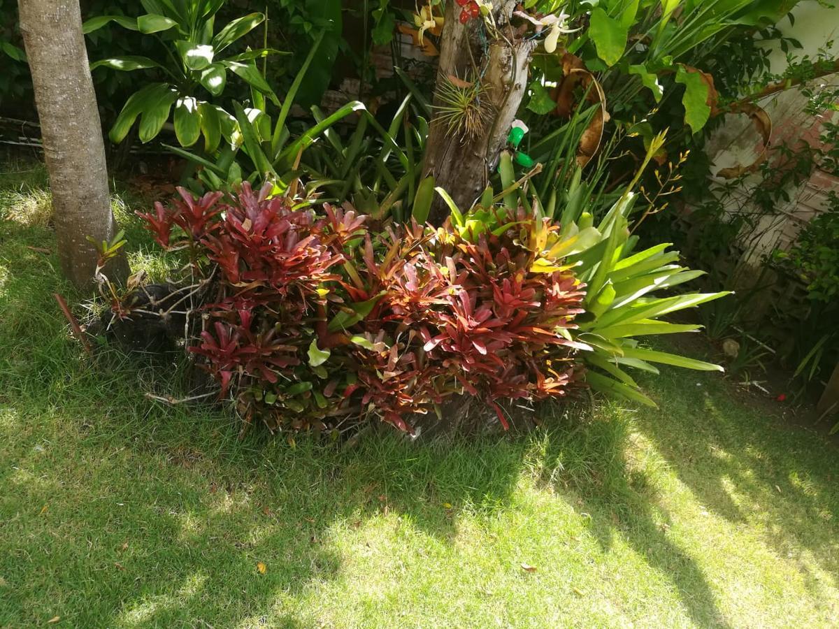 Villa Carolina Bed And Breakfast Puerto Plata ภายนอก รูปภาพ