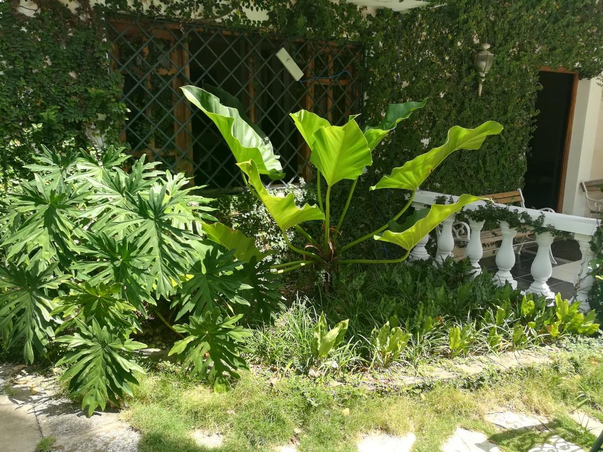 Villa Carolina Bed And Breakfast Puerto Plata ภายนอก รูปภาพ